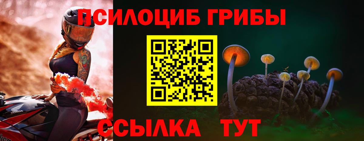 Лабинск  Псилоцибиновые грибы Cubensis  Вход с VPN 